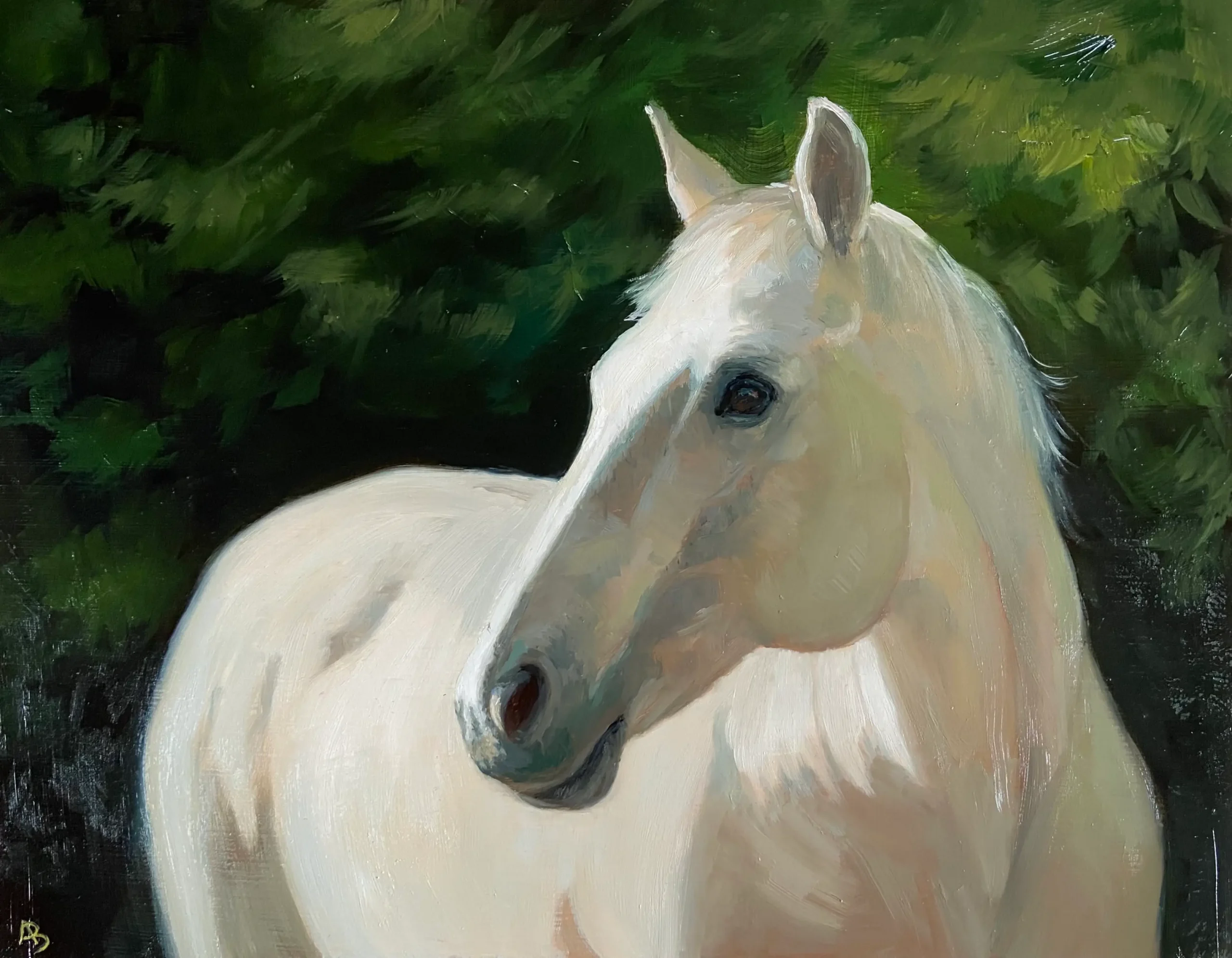 Beautiful white horse oil on canvas